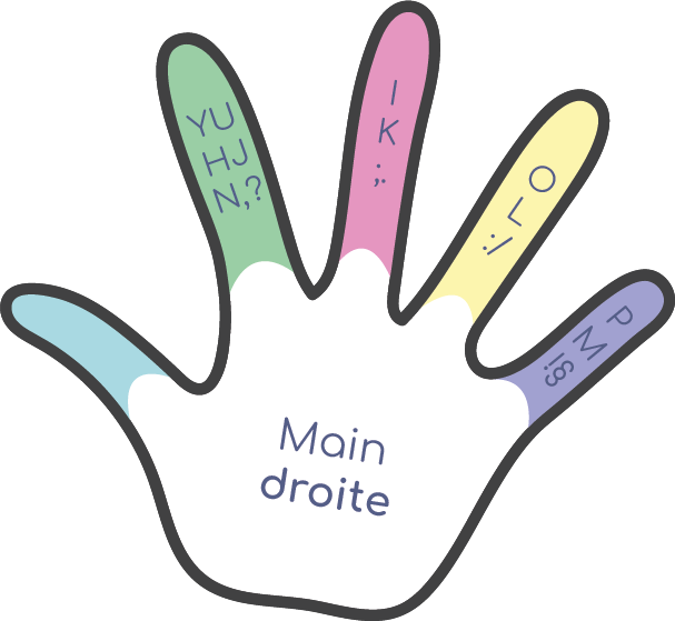 Main droite — répartition des doigts